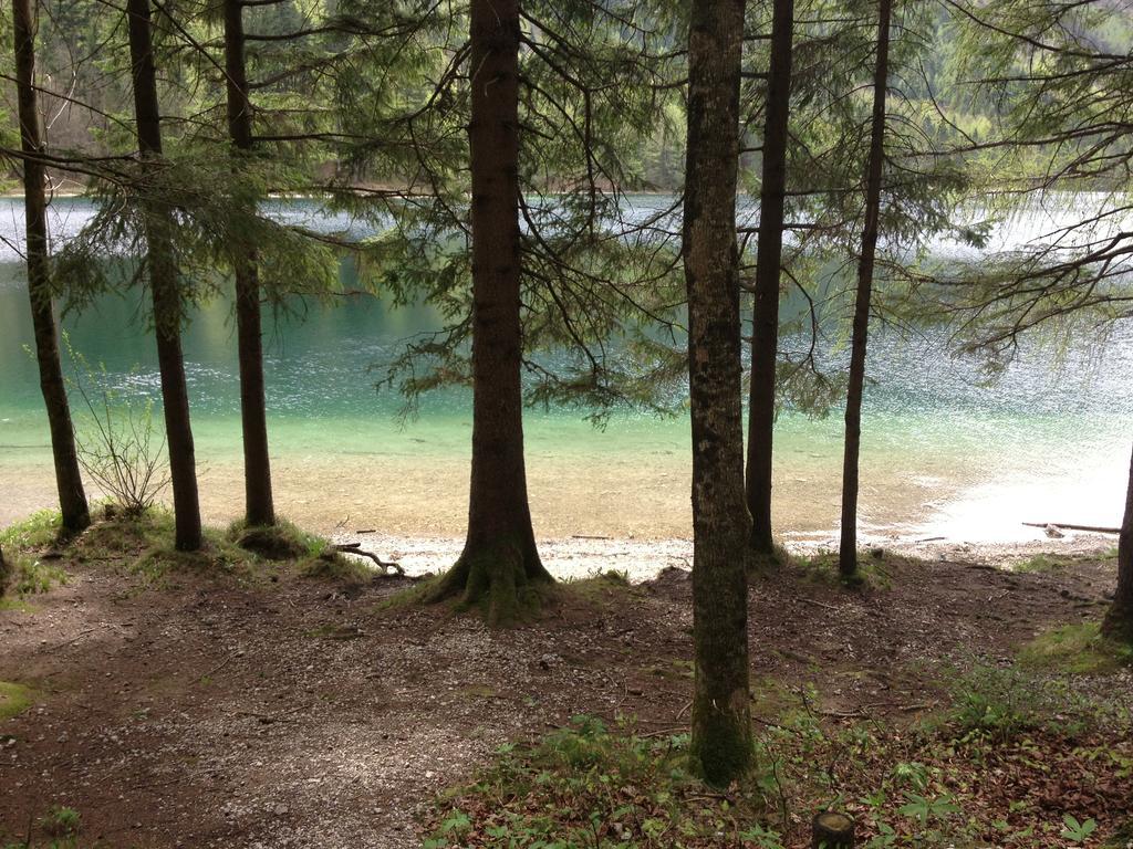 Appartamento See 31, Ferienlofts Am Traunsee Traunkirchen Camera foto